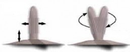 Sybian Bewegungen